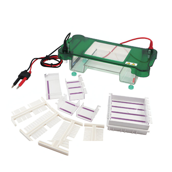 DS-SHET-B Horizontal Electrophoresis Tank