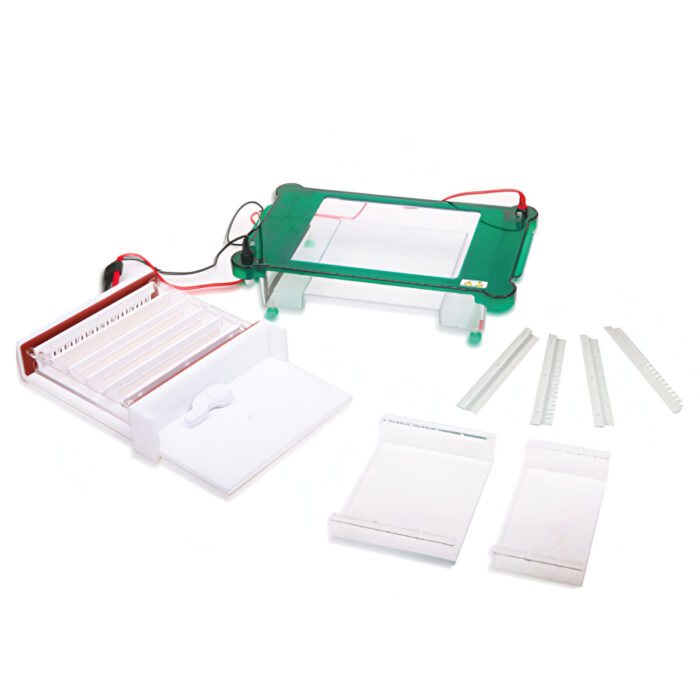 DS-SHET-F Horizontal Electrophoresis Tank