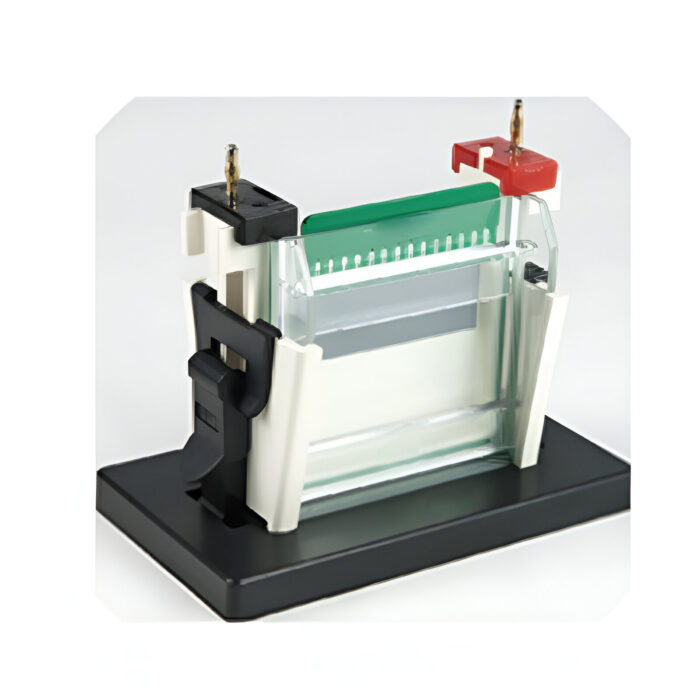 DS-SVE 2+ Vertical Electrophoresis Tank - Image 2