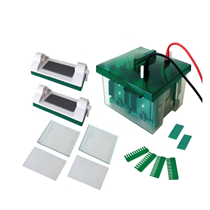 DS-Mini-P4 Vertical Electrophoresis Tank
