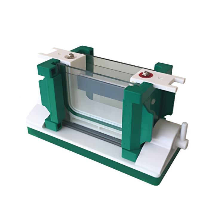 DS-Mini-P4 Vertical Electrophoresis Tank - Image 2