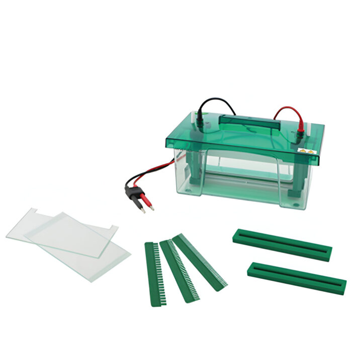 DS-VE series Vertical Electrophoresis Tank