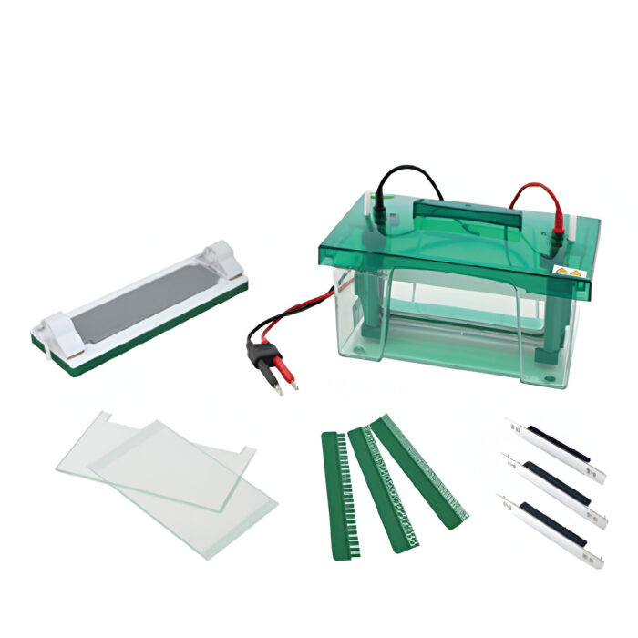 DS-VE-B series Vertical Electrophoresis Tank