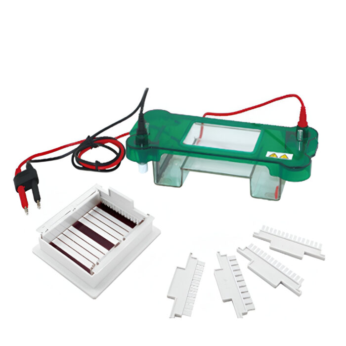 DS-SHET Horizontal Electrophoresis tank