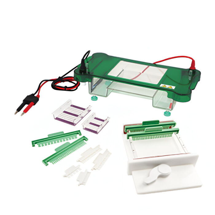 DS-SHET-C Horizontal Electrophoresis Tank