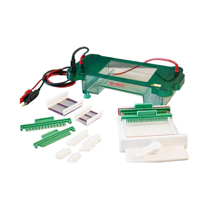 DS-SHET-C Horizontal Electrophoresis Tank