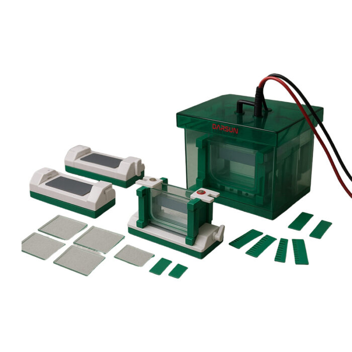 DS-Mini-P4 Vertical Electrophoresis Tank