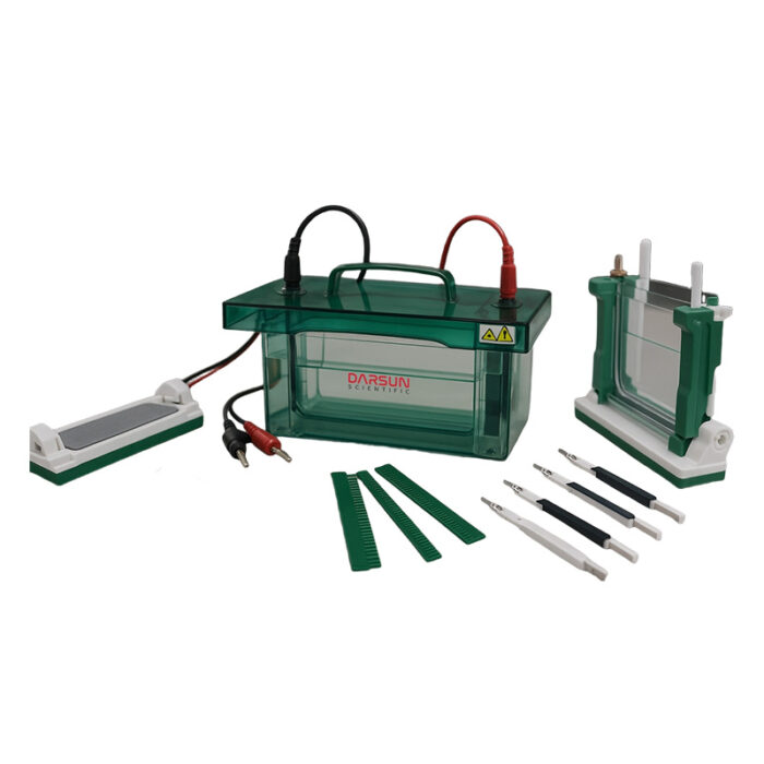 DS-VE-B series Vertical Electrophoresis Tank