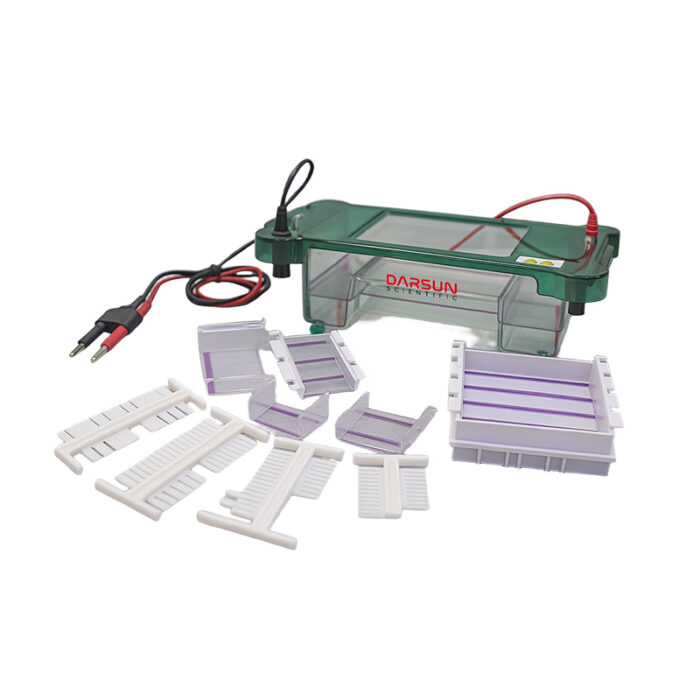 DS-SHET-B Horizontal Electrophoresis Tank